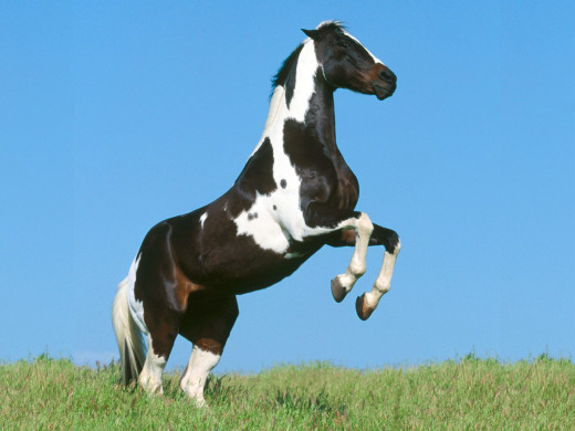 347753 (a): :1600x1200